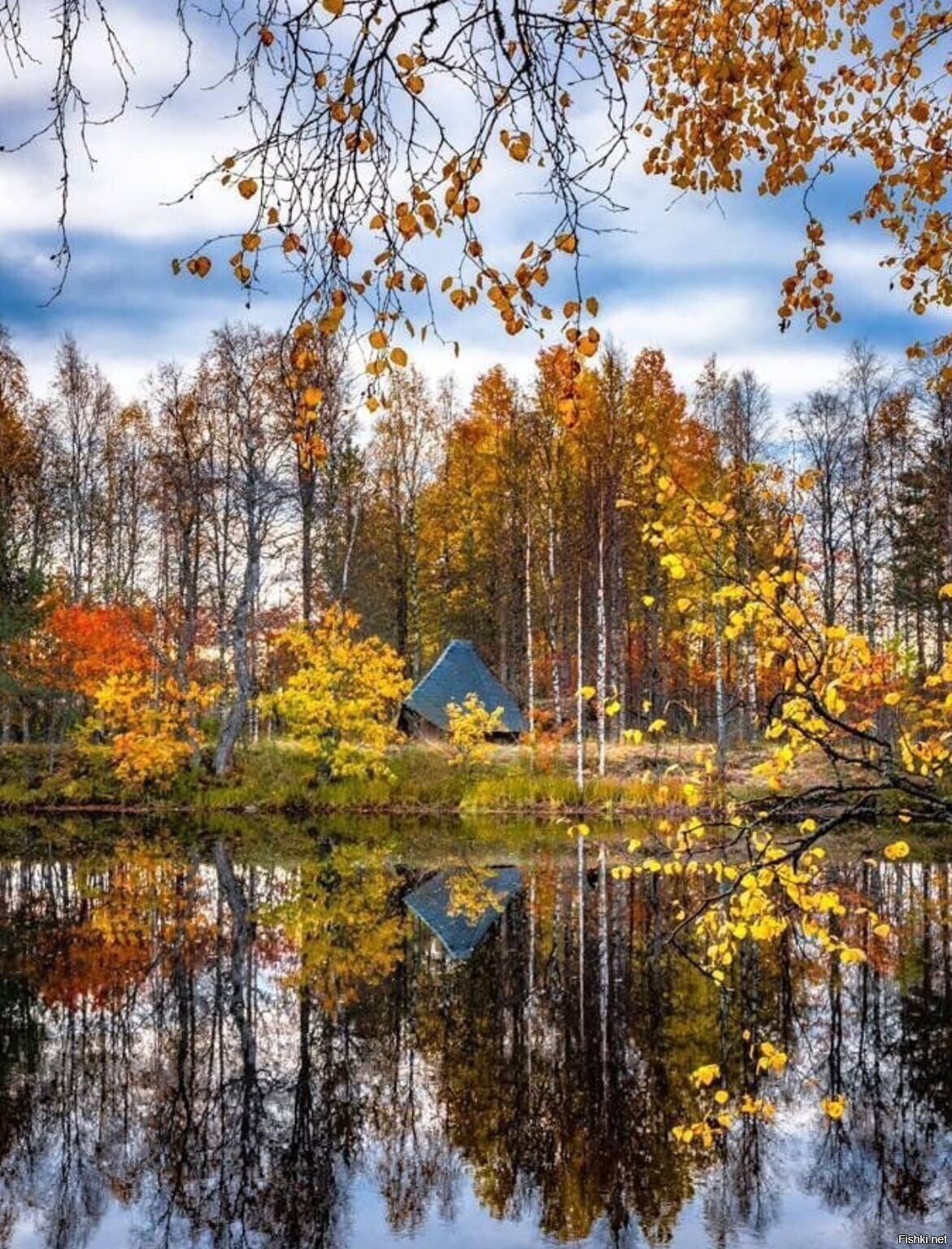 Солянка