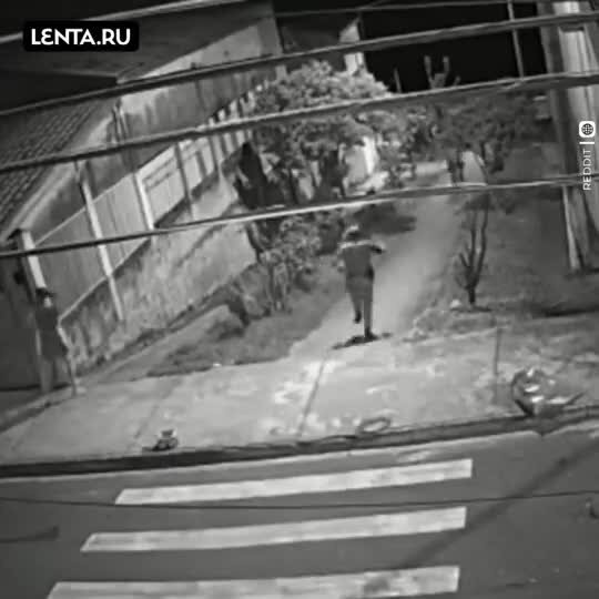 Удивительный вечер в Бразилии, в котором все куда-то бегут