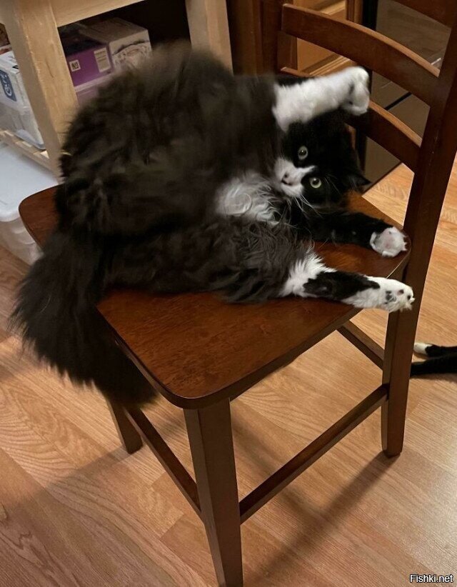 Солянка