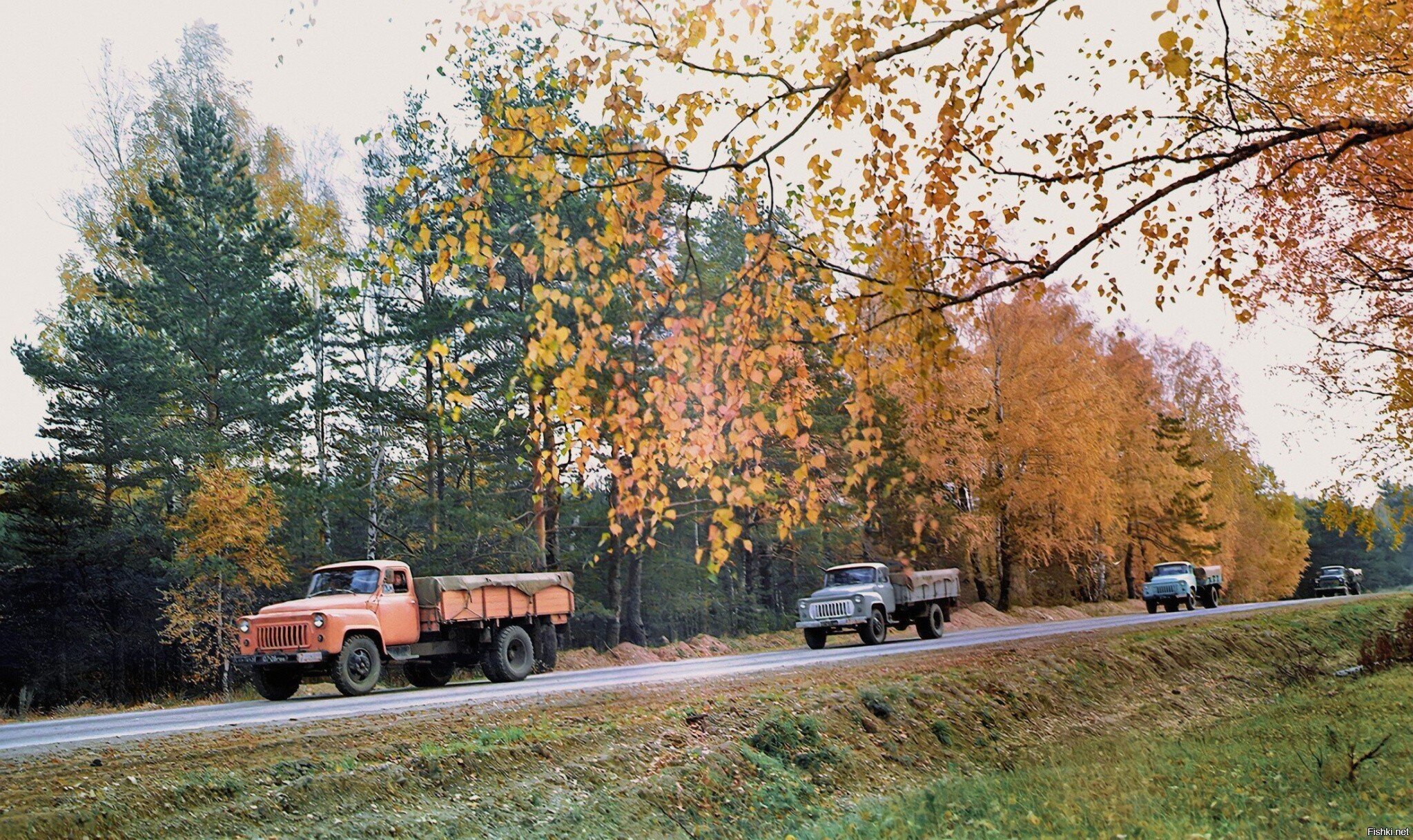 Октябрь 1961 года: ГАЗ-53Ф, ГАЗ-53 и ГАЗ-53Ф1, во время второго этапа испытаний