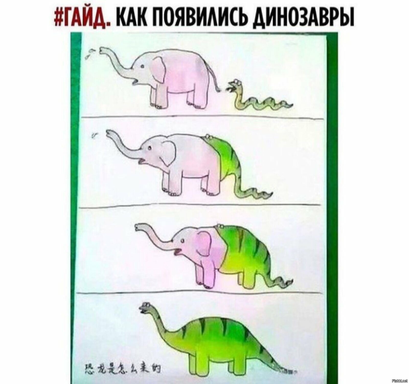 Солянка