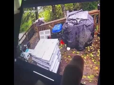 Когда решил сам построить дом