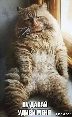 Где-то в солянке