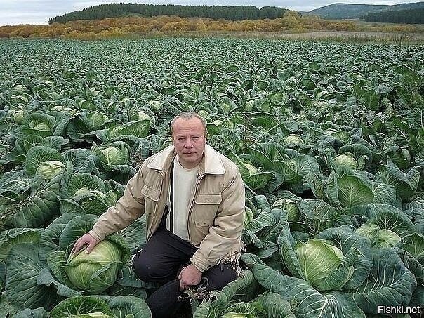 Счастье