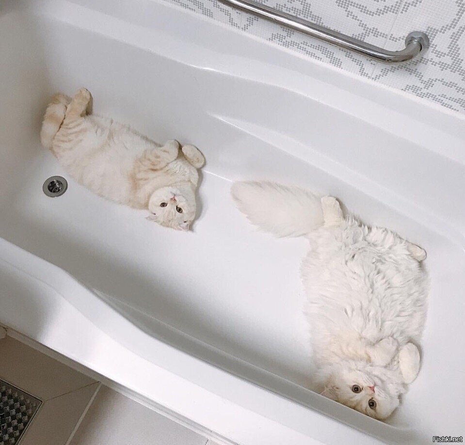 - Когда воду включите