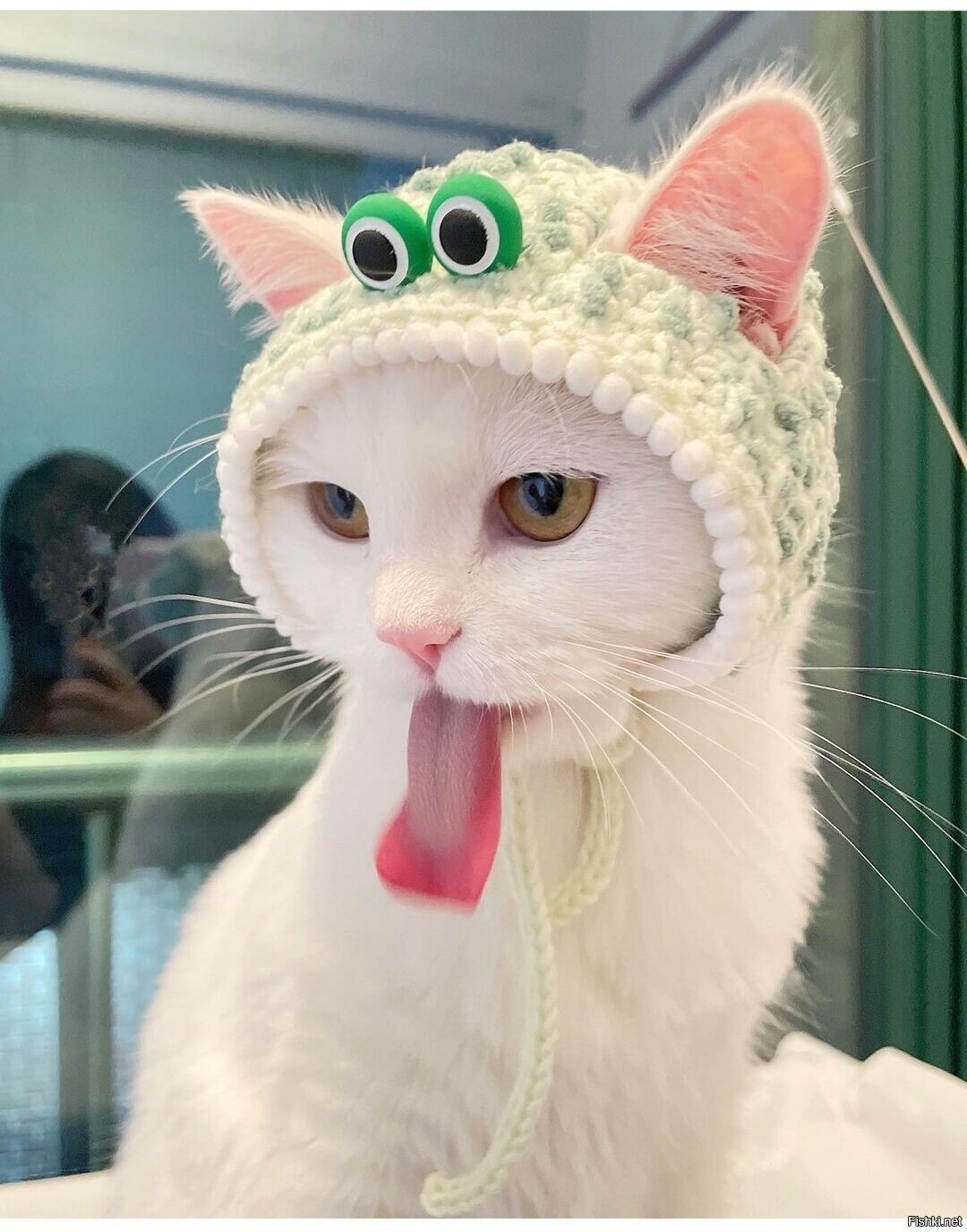Солянка