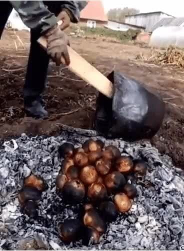 Солянка