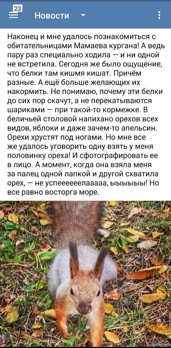 из новостей Волгограда