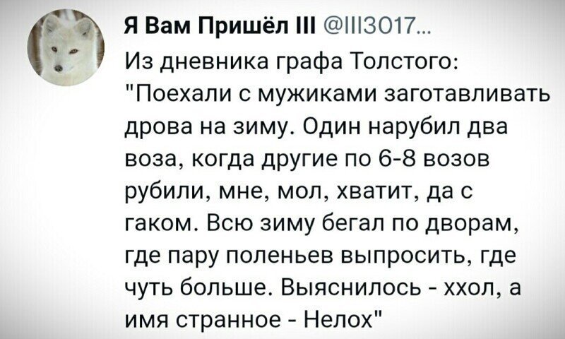 Калейдоскоп политических новостей с нотками стёба. Выпуск 19