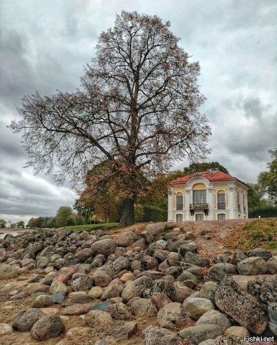 Солянка