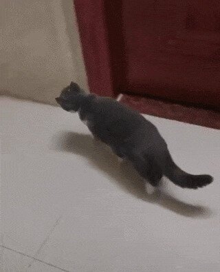 Ай нанэ-нанэ-нанэ