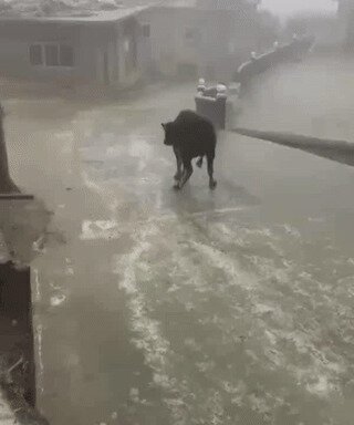 Скоро