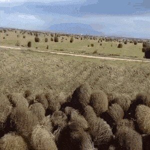 ветер к морю дул, ветер к морю дул