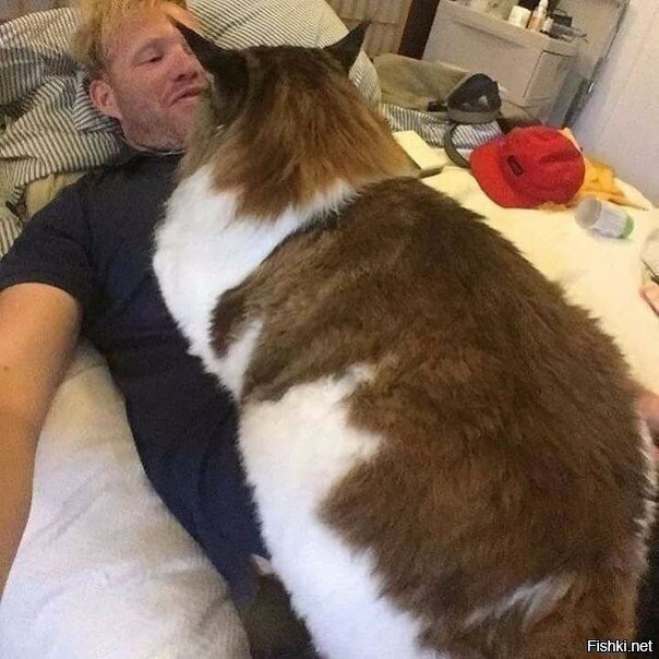 - Лежим еще