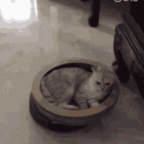  всё равно, лучше, чем на работе