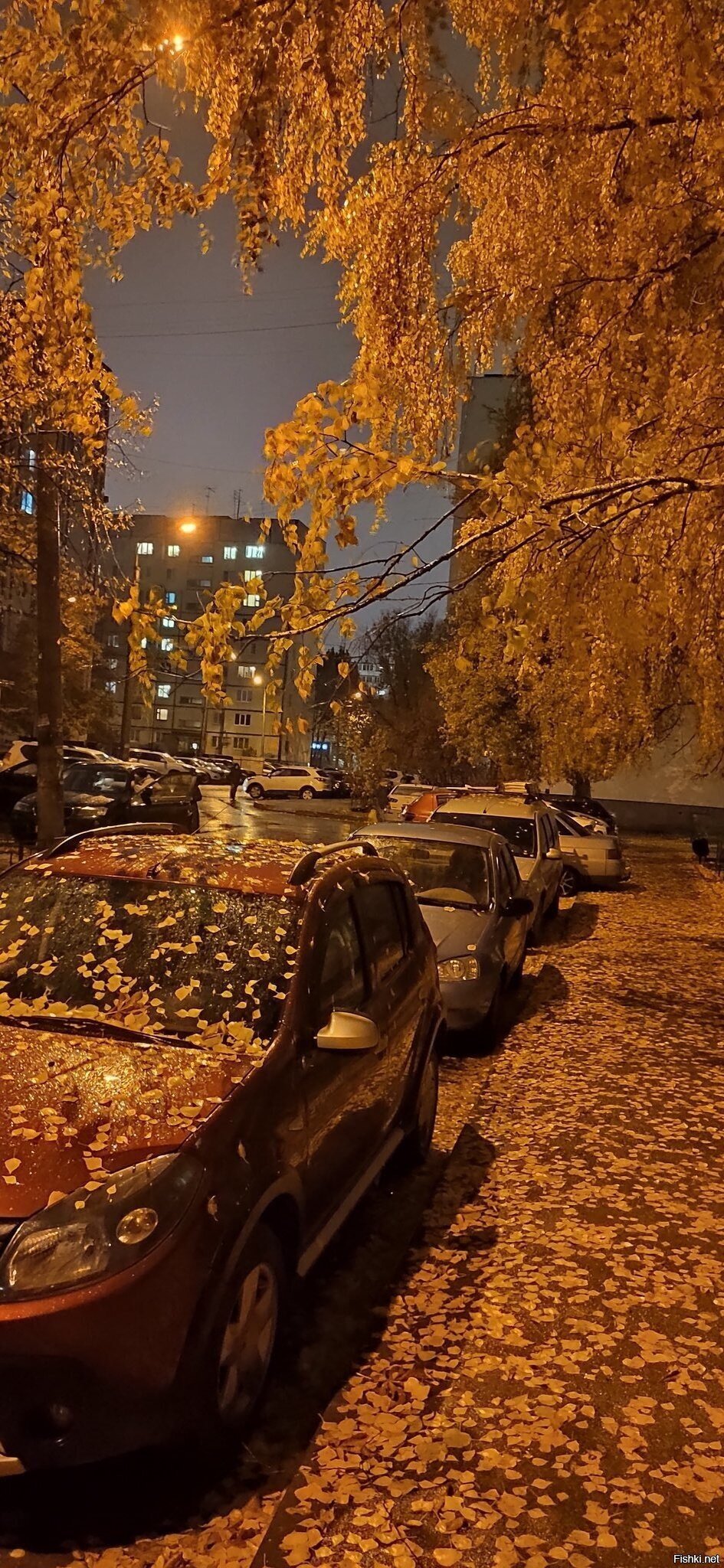 Солянка