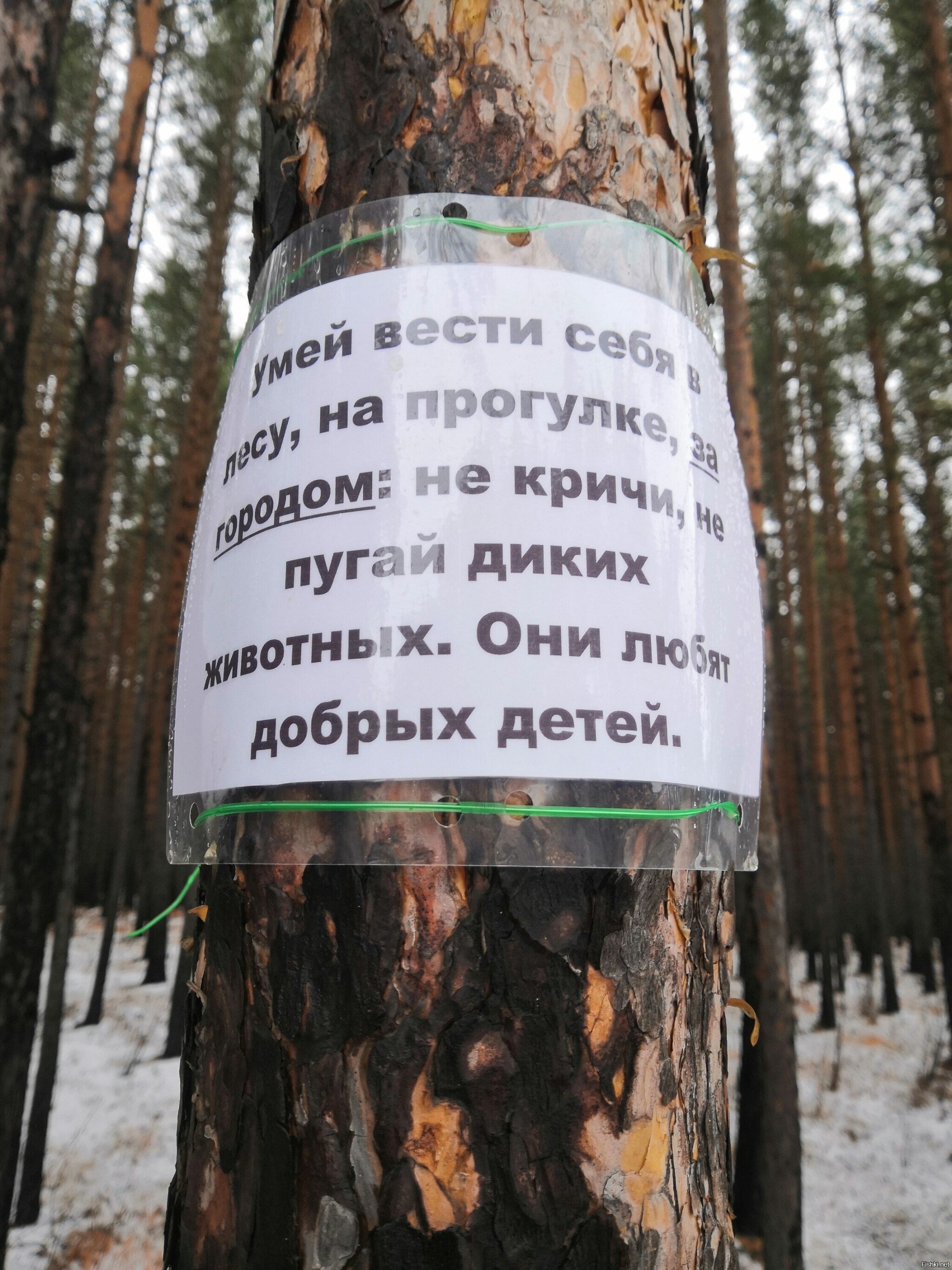 Про любовь