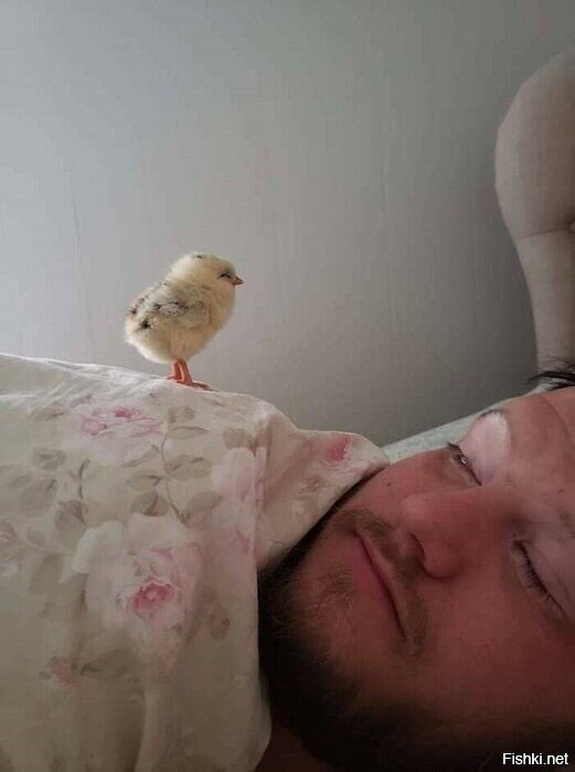 и што, прям все уже проснулись