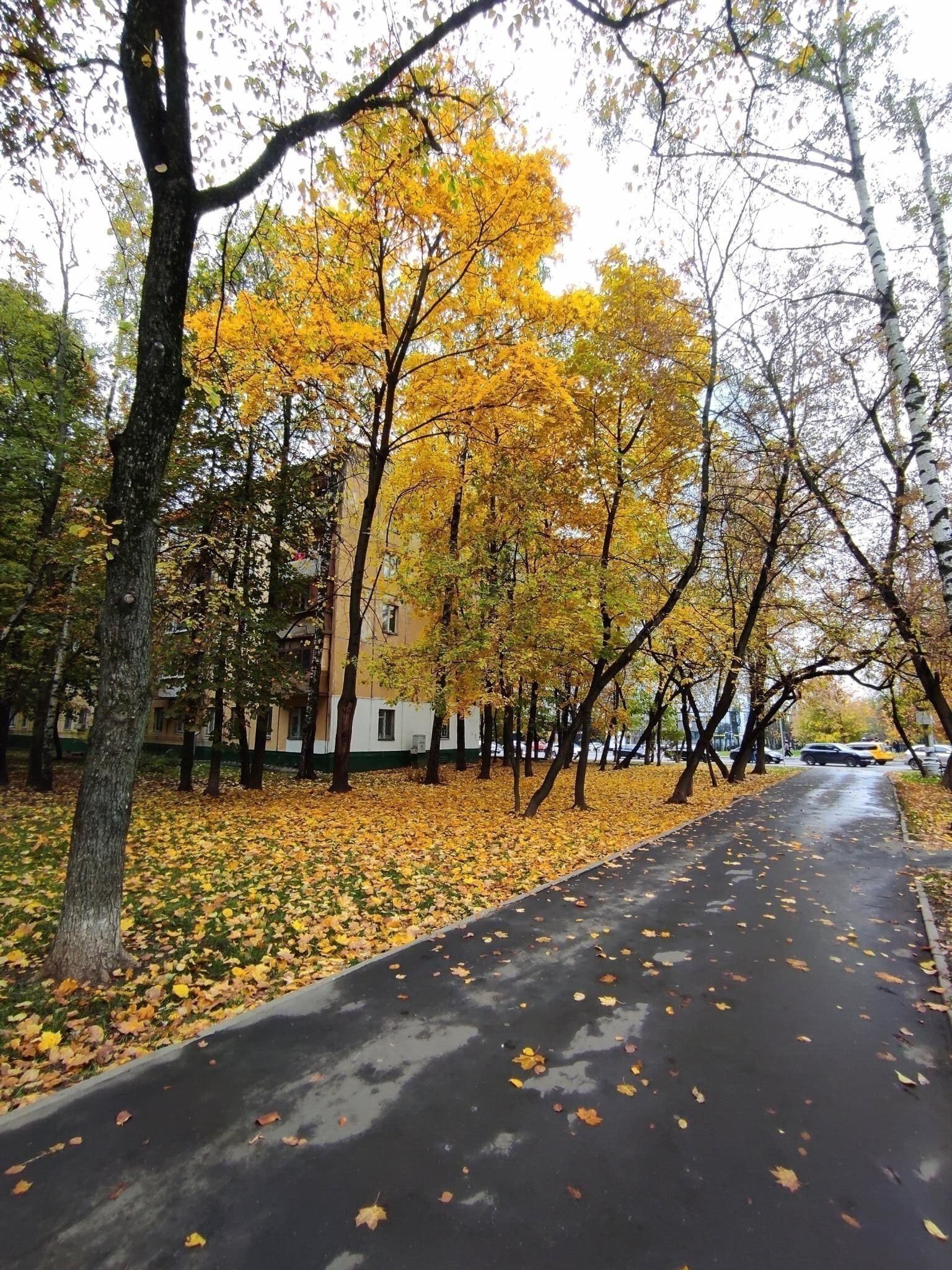 Солянка