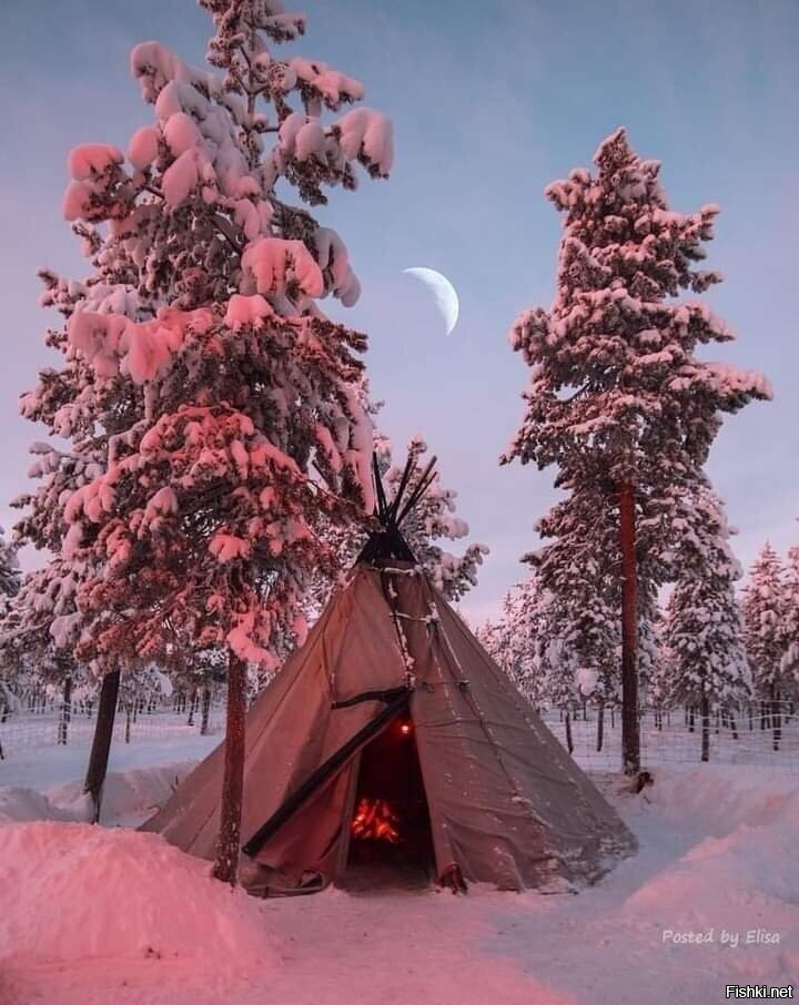 Солянка