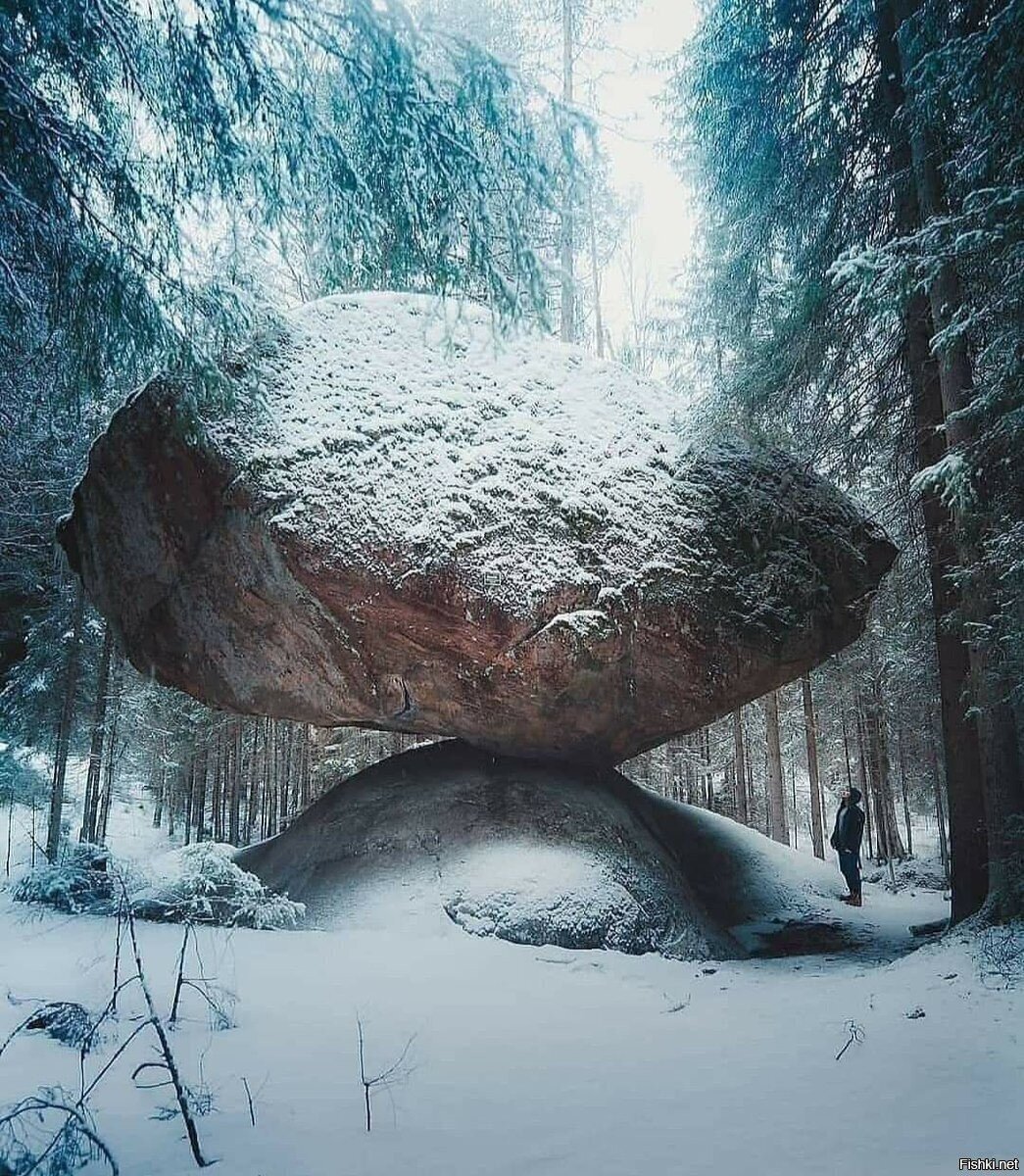 Солянка