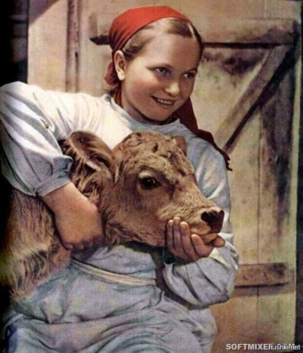 Солянка