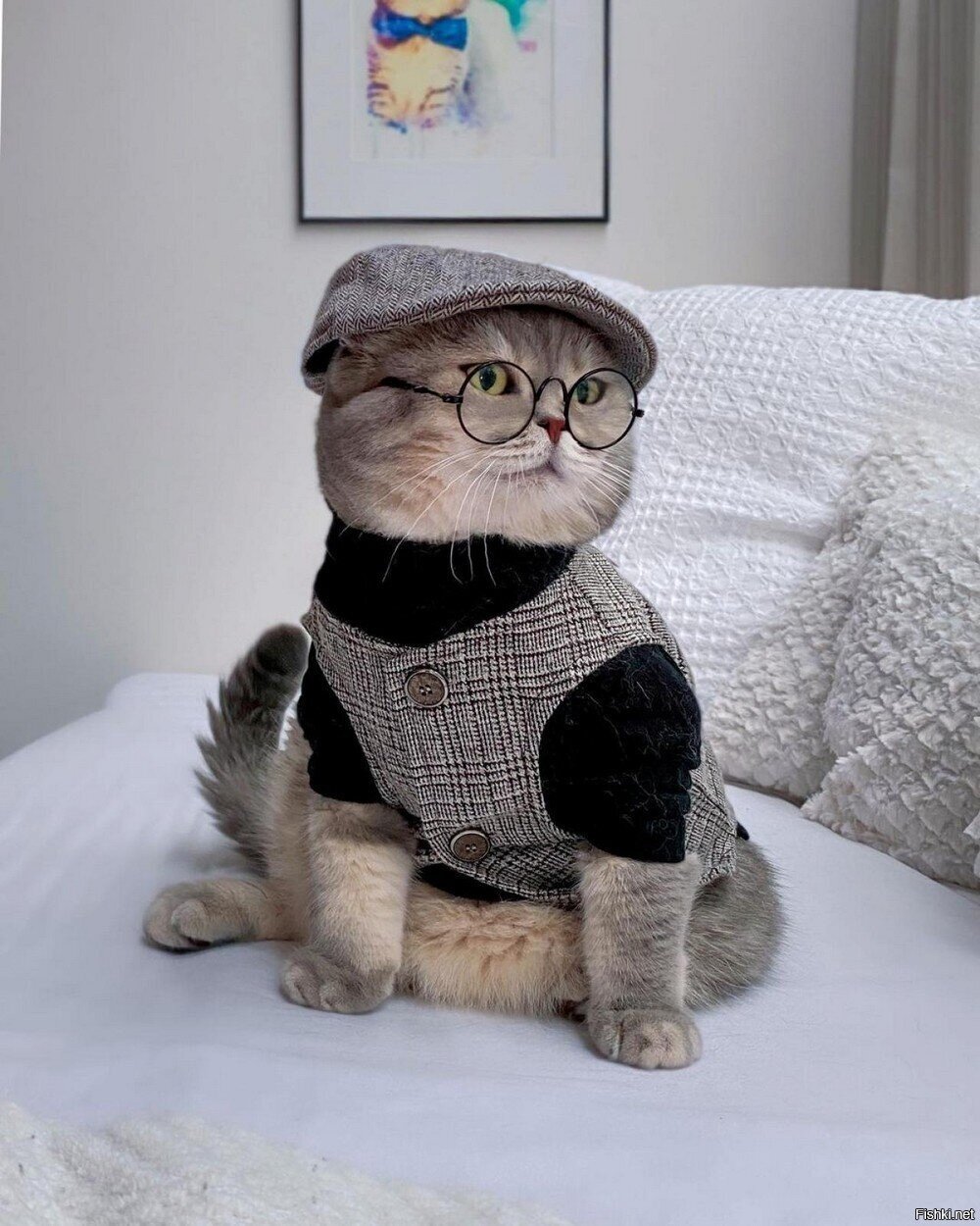 Солянка