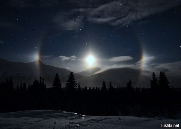 «Moondog» — нимб вокруг Луны, вызванное отражением лунного света от кристалло...