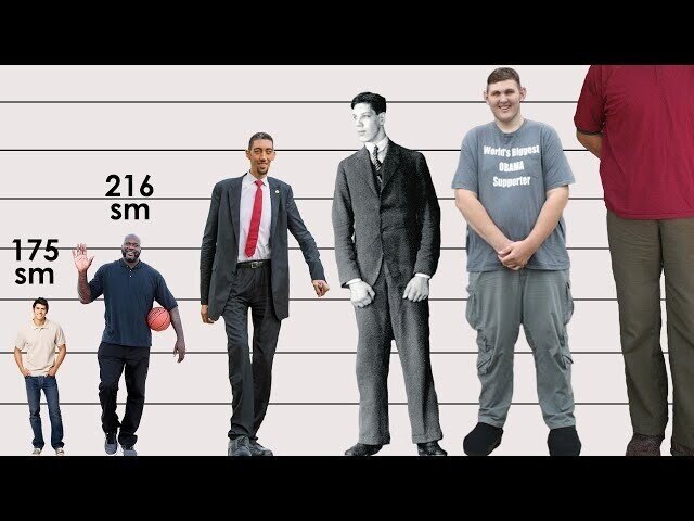 Самые высокие люди в истории