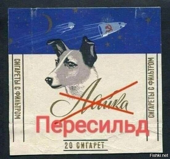 Солянка