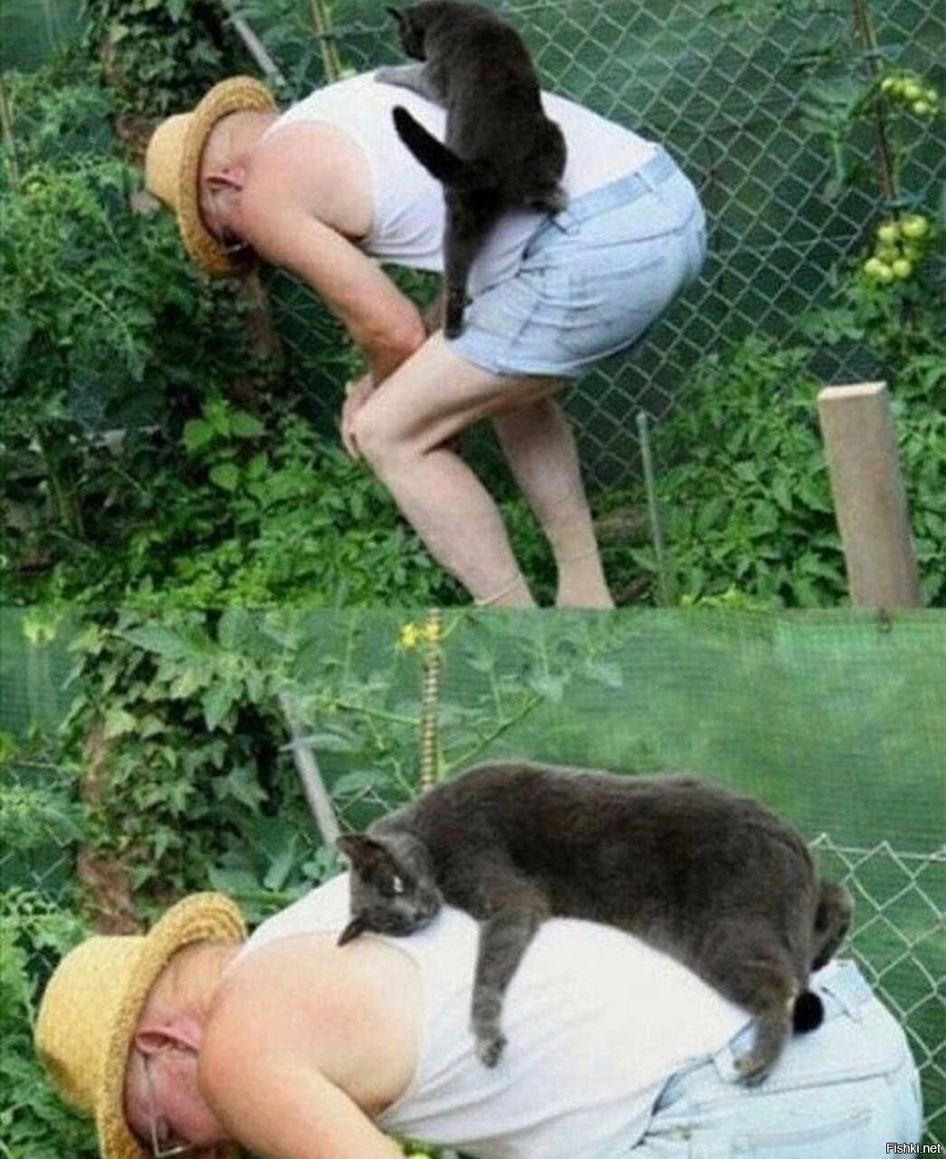 Солянка