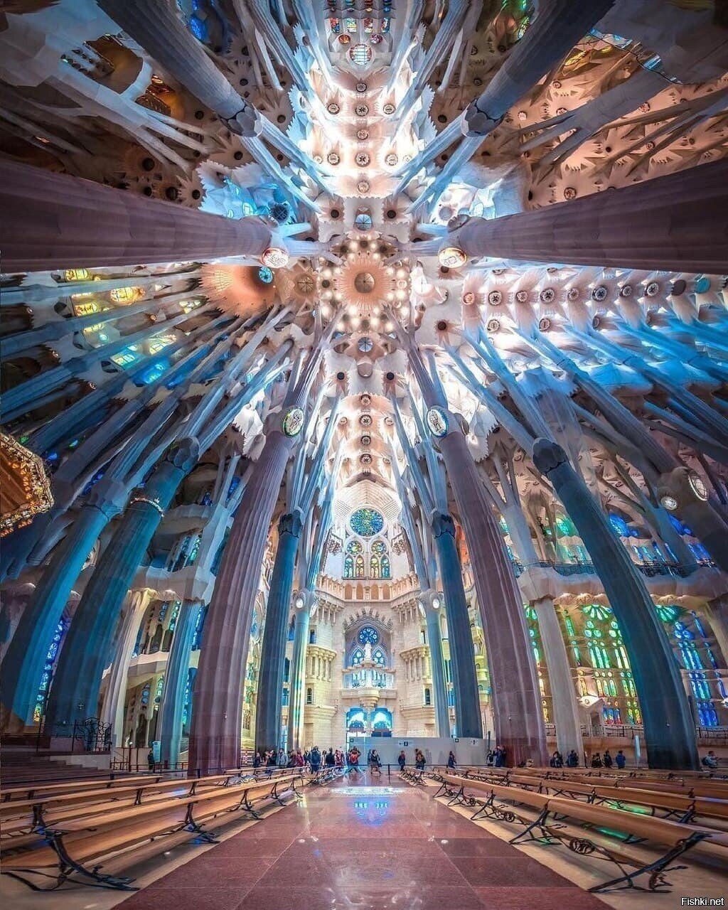 Солянка