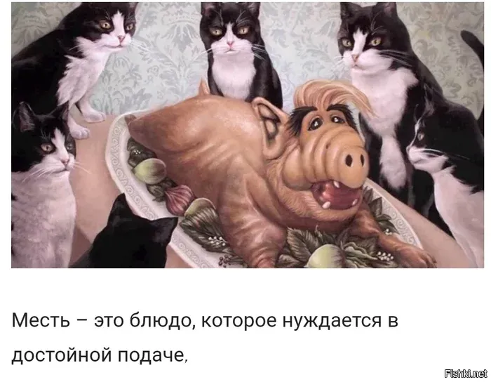 Солянка
