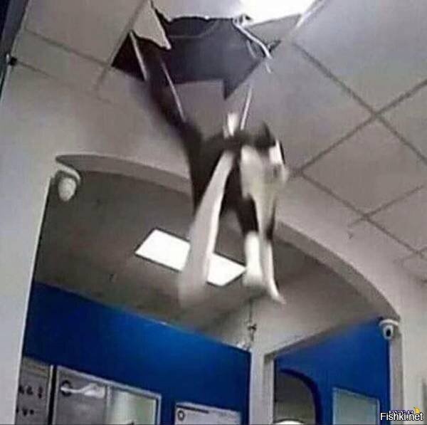 бл