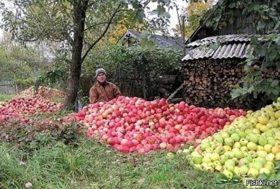 А теперь закапывай