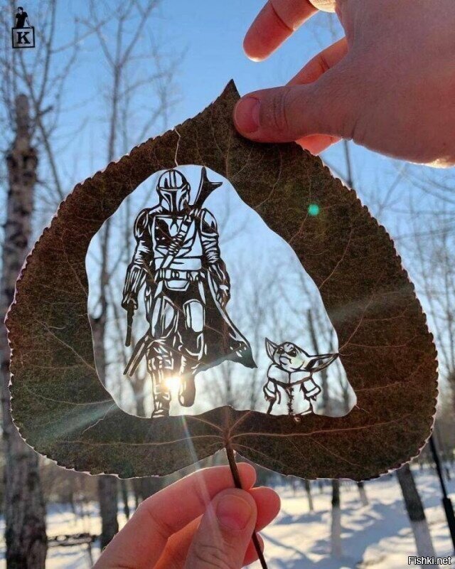 Солянка