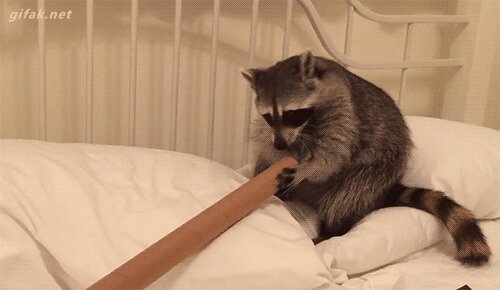 - Ду-ду-ду