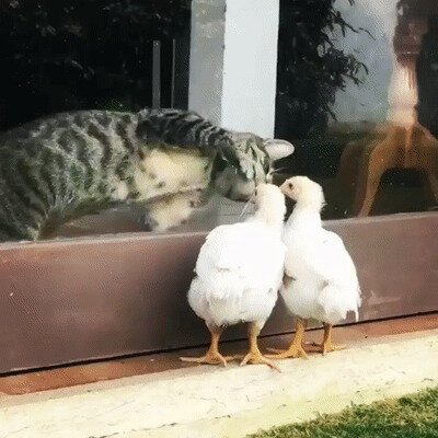 - Че это с ним
