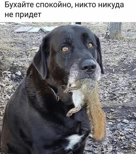Ещё раз, всех с пятницей
