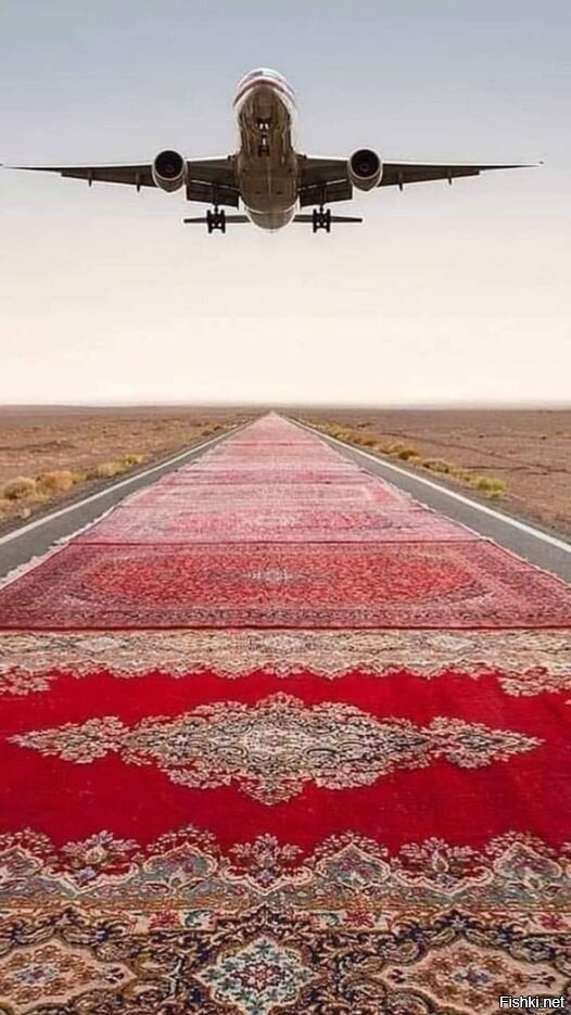 Узбекские авиалинии 