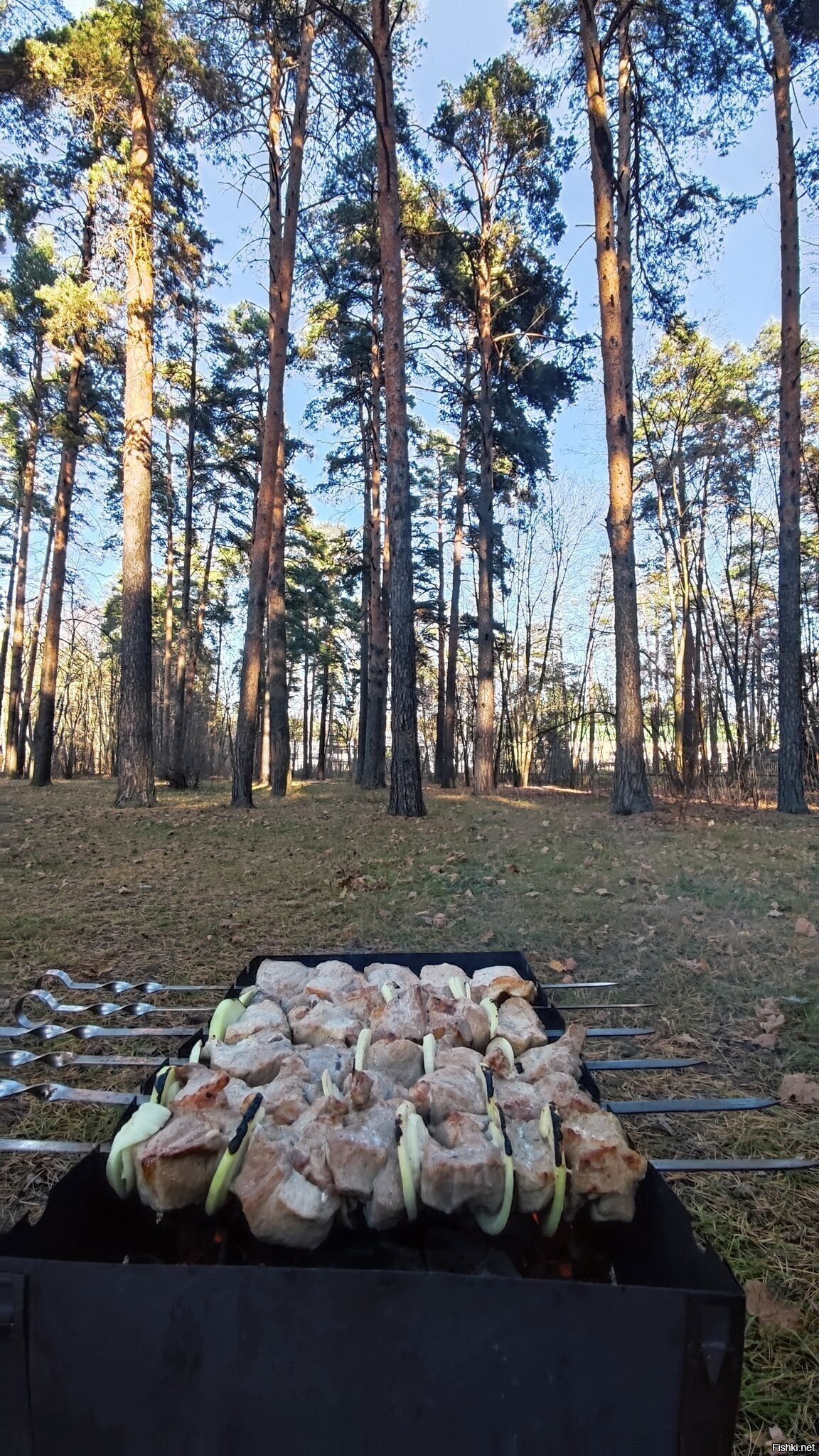 Солянка