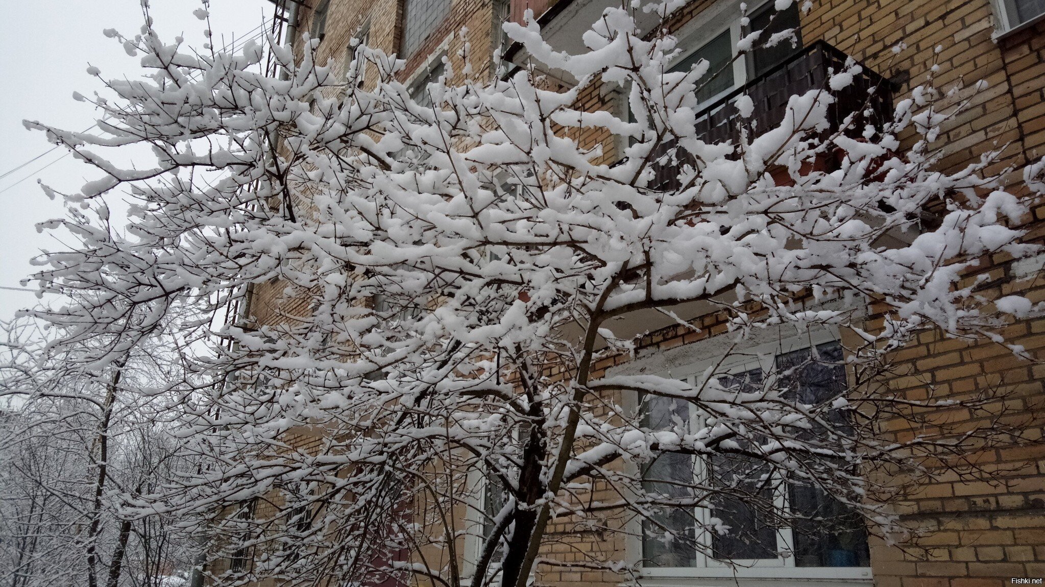 Солянка