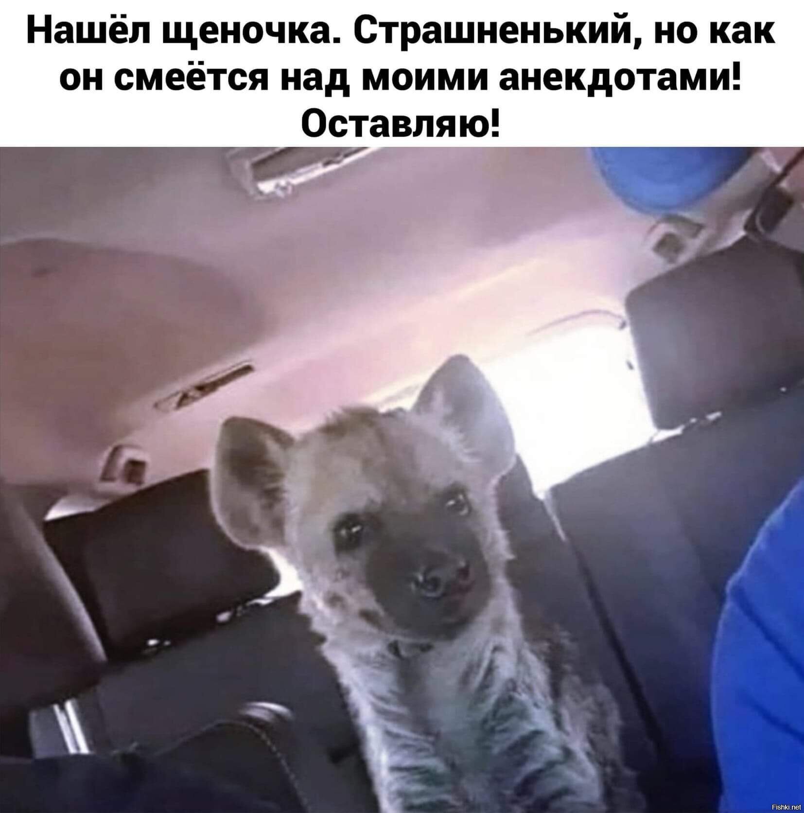 О