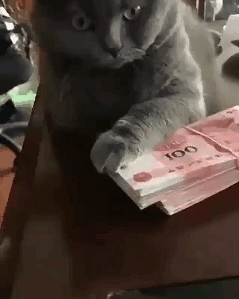- Иди и сам заработай