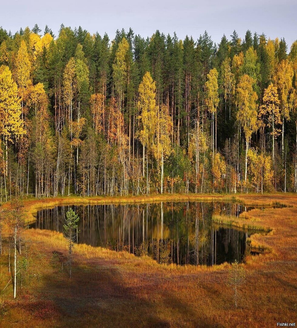 Ламбушка