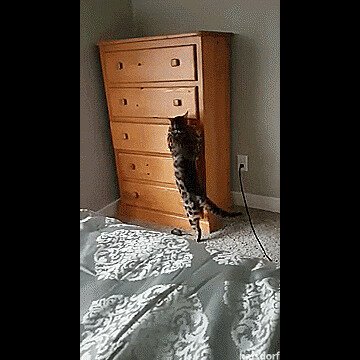 - Нужно побыть одному