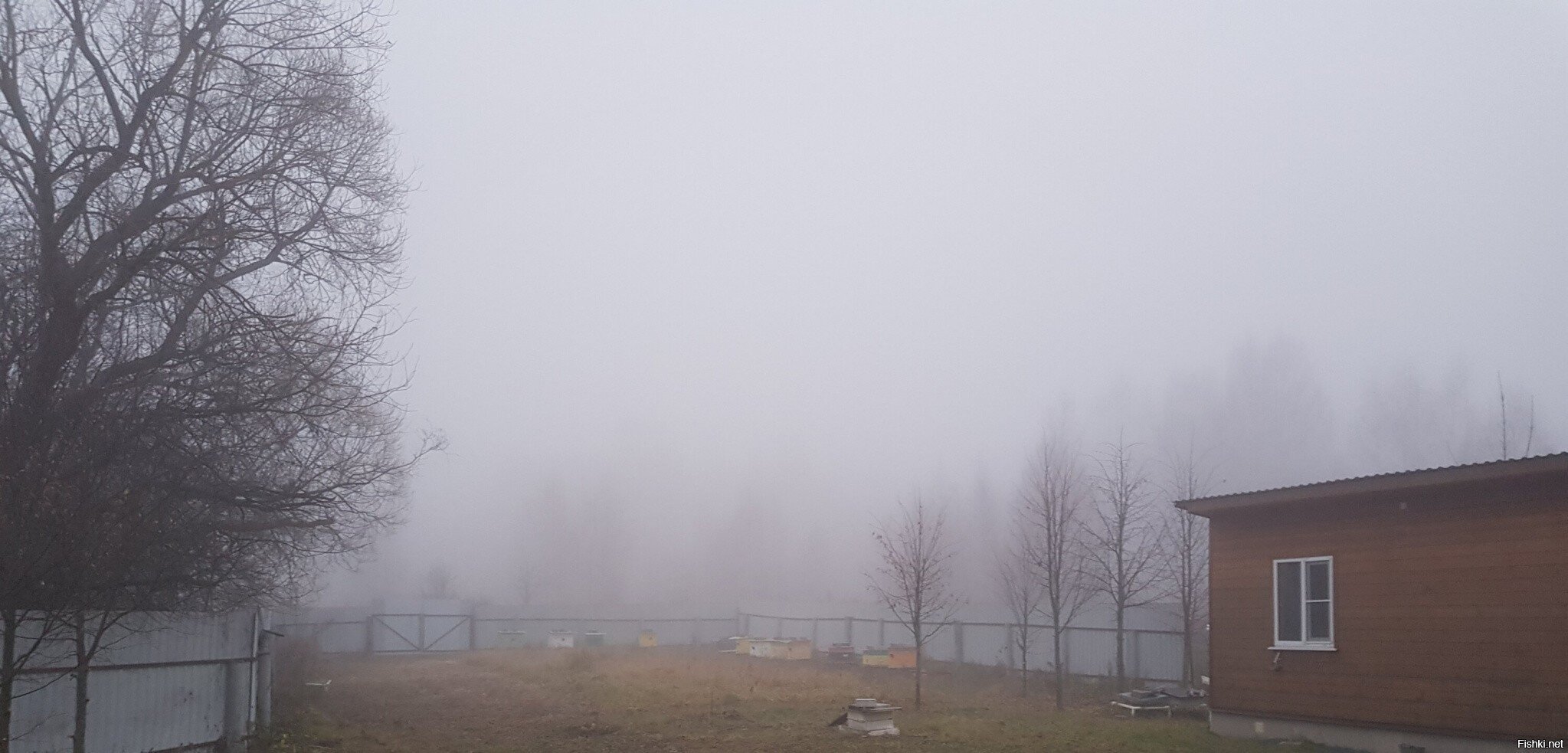 У меня то -  вон оно что