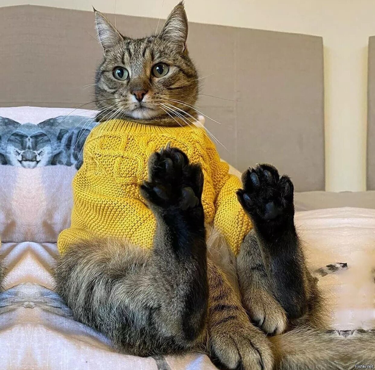 Солянка