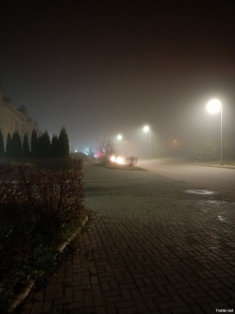 Сегодня