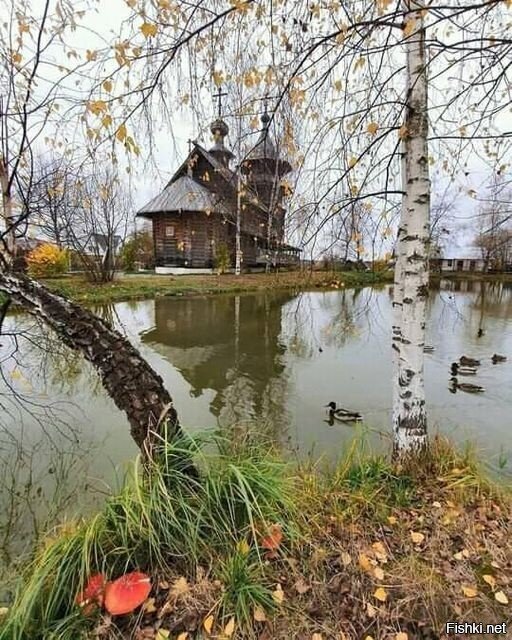 Солянка